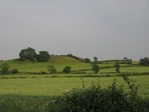 IMG_0926