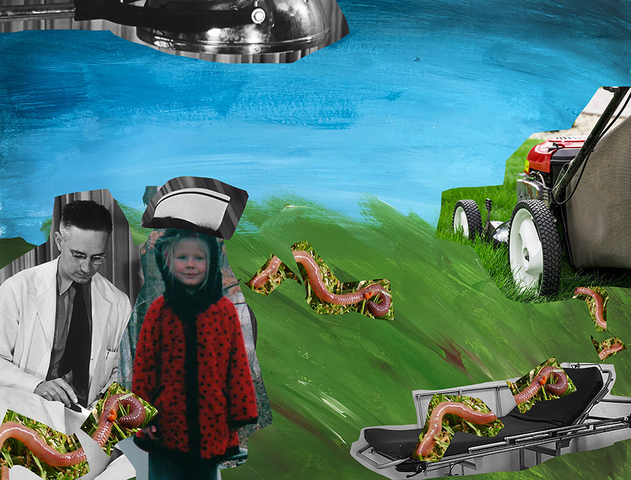 Montage of a injured worms receiving medical attention. Art by Kirsten DeZeeuw.